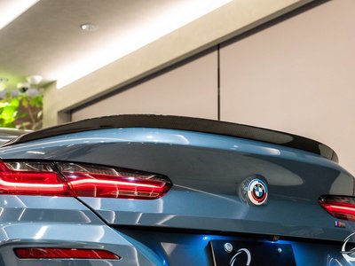 2019 BMW 8 SERIES 照片 16