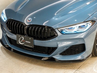 2019 BMW 8 SERIES 照片 10