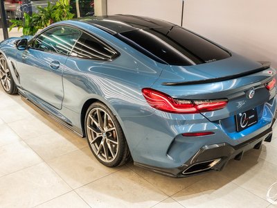 2019 BMW 8 SERIES 照片 8
