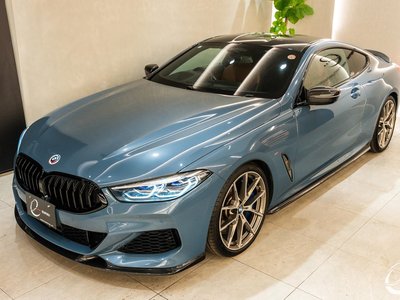 2019 BMW 8 SERIES 照片 7