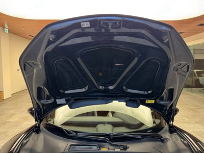 2013 Ferrari 458 SPIDER 照片 49
