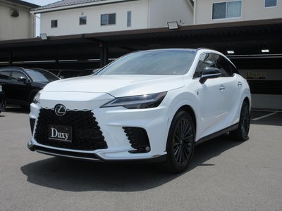 2025 Lexus RX — миниатюра 8