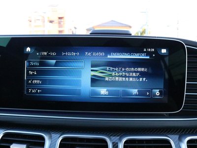صورة مصغرة 14 لـ 2021 Mercedes-BENZ GLS AMG