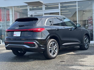 2025 AUDI Q5 缩略图 10