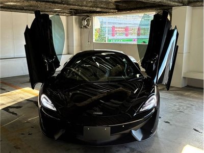 2016 Mclaren 540C COUPE — миниатюра 51