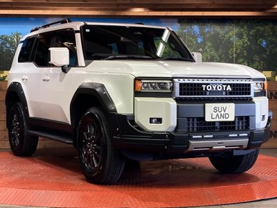 2025 Toyota LAND CRUISER 250 照片 16
