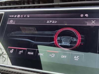 2023 AUDI RS Q8 thumbnail 64