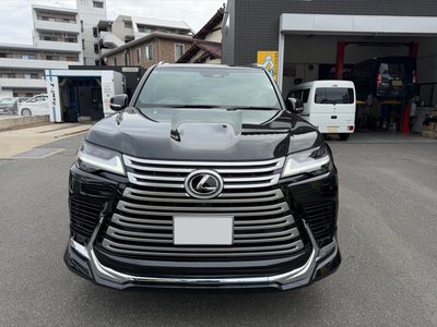 2025 Lexus LX photo 9
