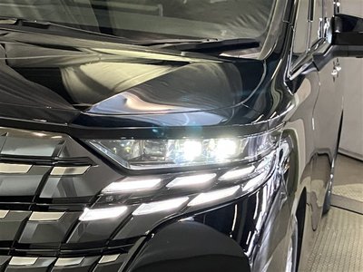 2024 Toyota ALPHARD 照片 38
