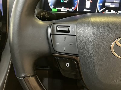 2024 Toyota ALPHARD 照片 22