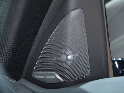 2020 BMW 4 SERIES COUPE 照片 54