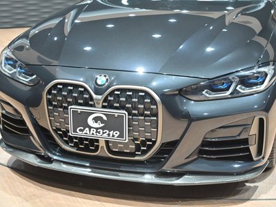 2020 BMW 4 SERIES COUPE 照片 30