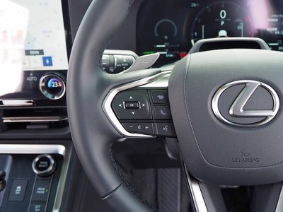 2025 Lexus GX thumbnail 31