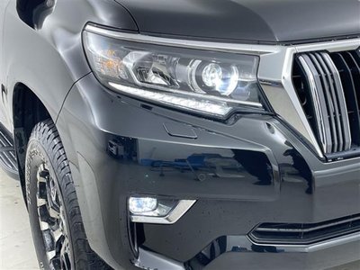 2022 Toyota LAND CRUISER PRADO 照片 38