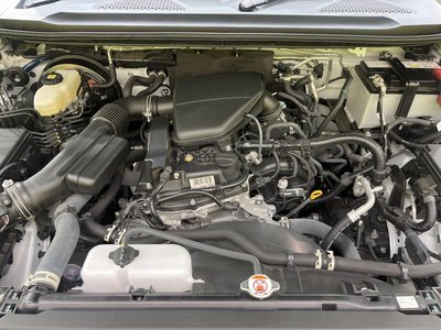2024 Toyota LAND CRUISER 250 照片 19