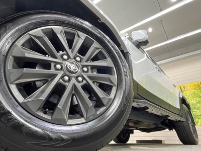2024 Toyota LAND CRUISER 250 照片 14