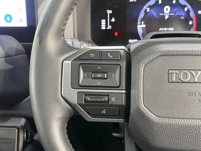2024 Toyota LAND CRUISER 250 照片 30
