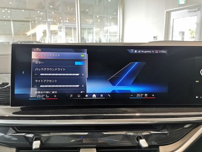 صورة مصغرة 38 لـ 2025 BMW X5