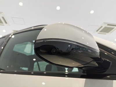 صورة مصغرة 19 لـ 2025 BMW X5
