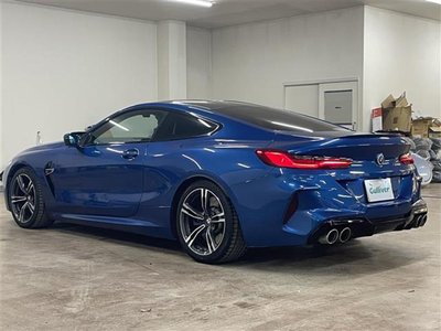 2020 BMW M8 照片 43
