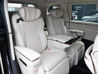 2025 Lexus LM photo 15