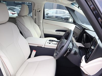 2025 Lexus LM photo 14