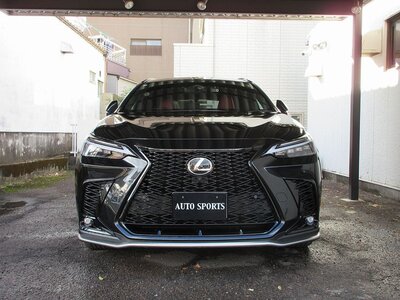 2023 Lexus NX — фото 2