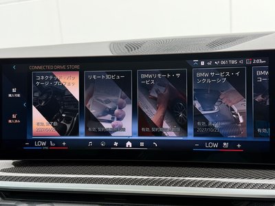 2024 BMW X6 thumbnail 36