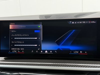 2024 BMW X6 thumbnail 38