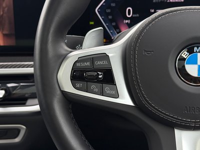 2024 BMW X6 thumbnail 20