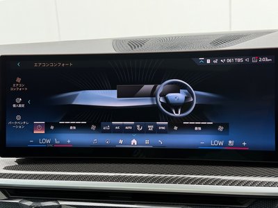 2024 BMW X6 thumbnail 39