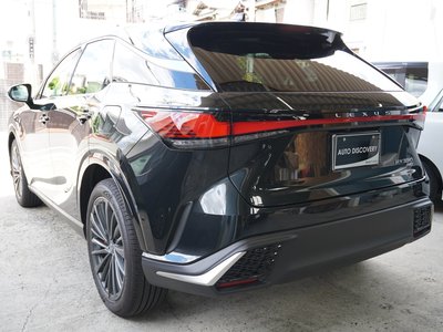 2026 Lexus RX photo 6