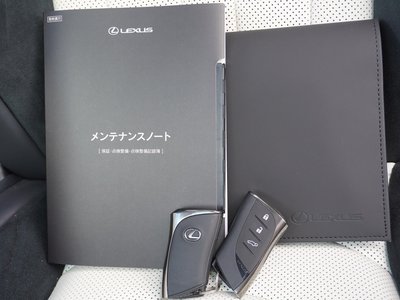 2026 Lexus RX thumbnail 37