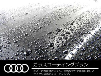 صورة 41 لـ 2025 AUDI S3 SEDAN