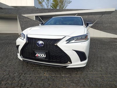 2021 Lexus ES photo 6