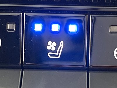 2024 Toyota LAND CRUISER 250 — фото 29