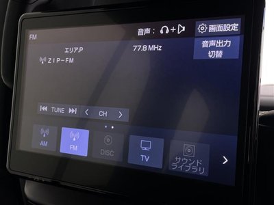 2023 Toyota LAND CRUISER 300 photo 12
