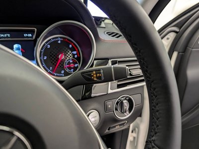 صورة 19 لـ 2016 Mercedes-BENZ GLE