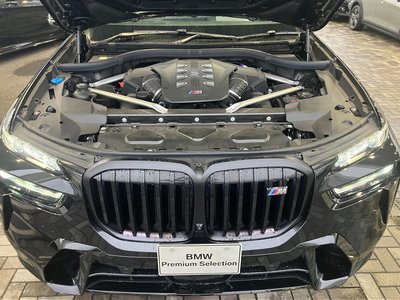 2023 BMW X7 照片 16
