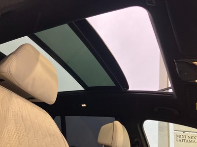 2023 BMW X7 照片 15