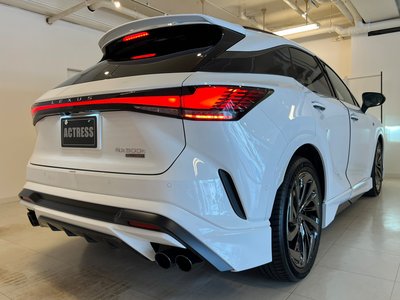 2026 Lexus RX photo 11