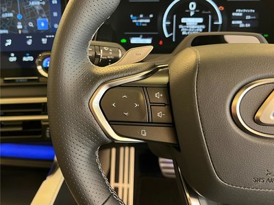2026 Lexus RX thumbnail 19
