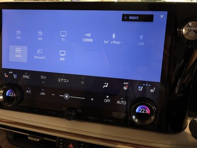 2024 Lexus LM 照片 30