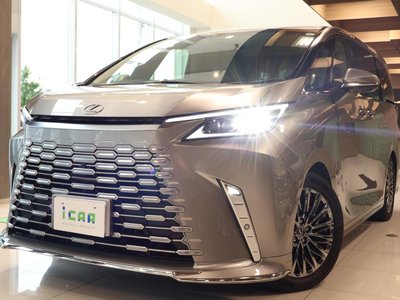 2024 Lexus LM 照片 42