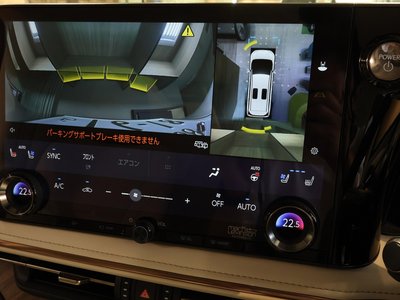 2024 Lexus LM 照片 29