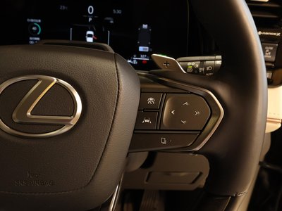 2024 Lexus LM 照片 8