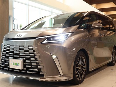 2024 Lexus LM 照片 54