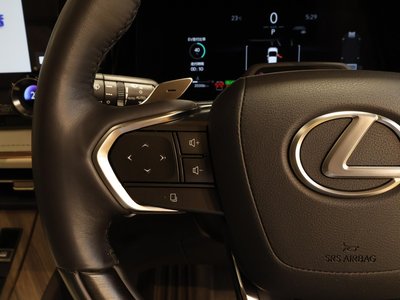 2024 Lexus LM 照片 26