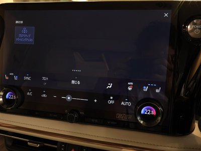 2024 Lexus LM 照片 33