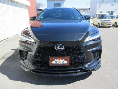2023 Lexus RX photo 3